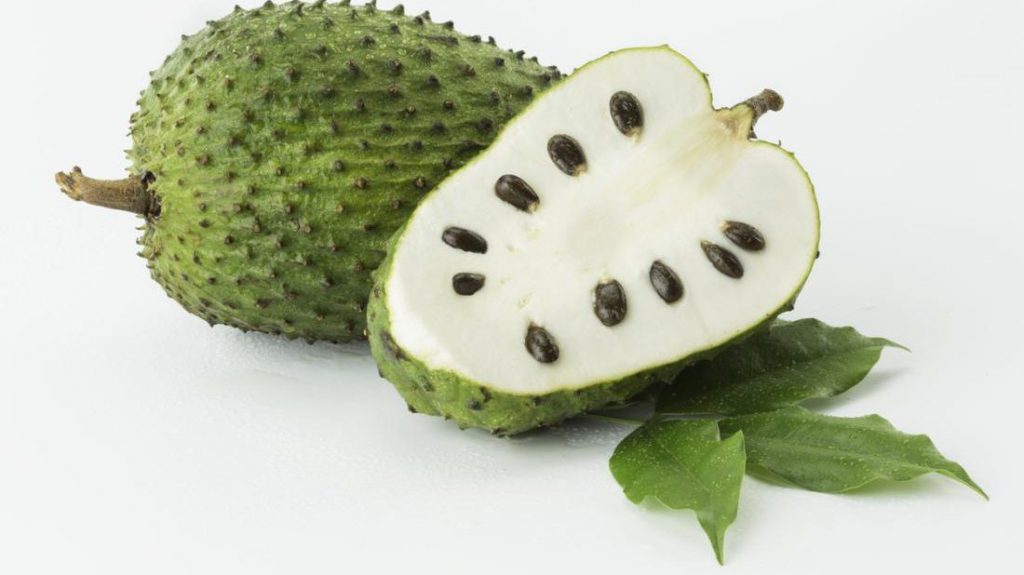 Health Benefits of Soursop